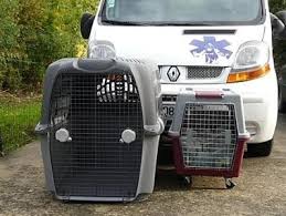 Fourgon aménagé pour transport groupé d'animaux